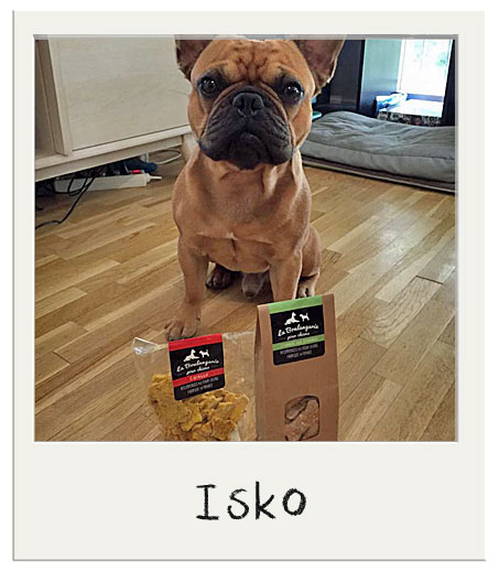 Isko et nos biscuits carotte pour chiens